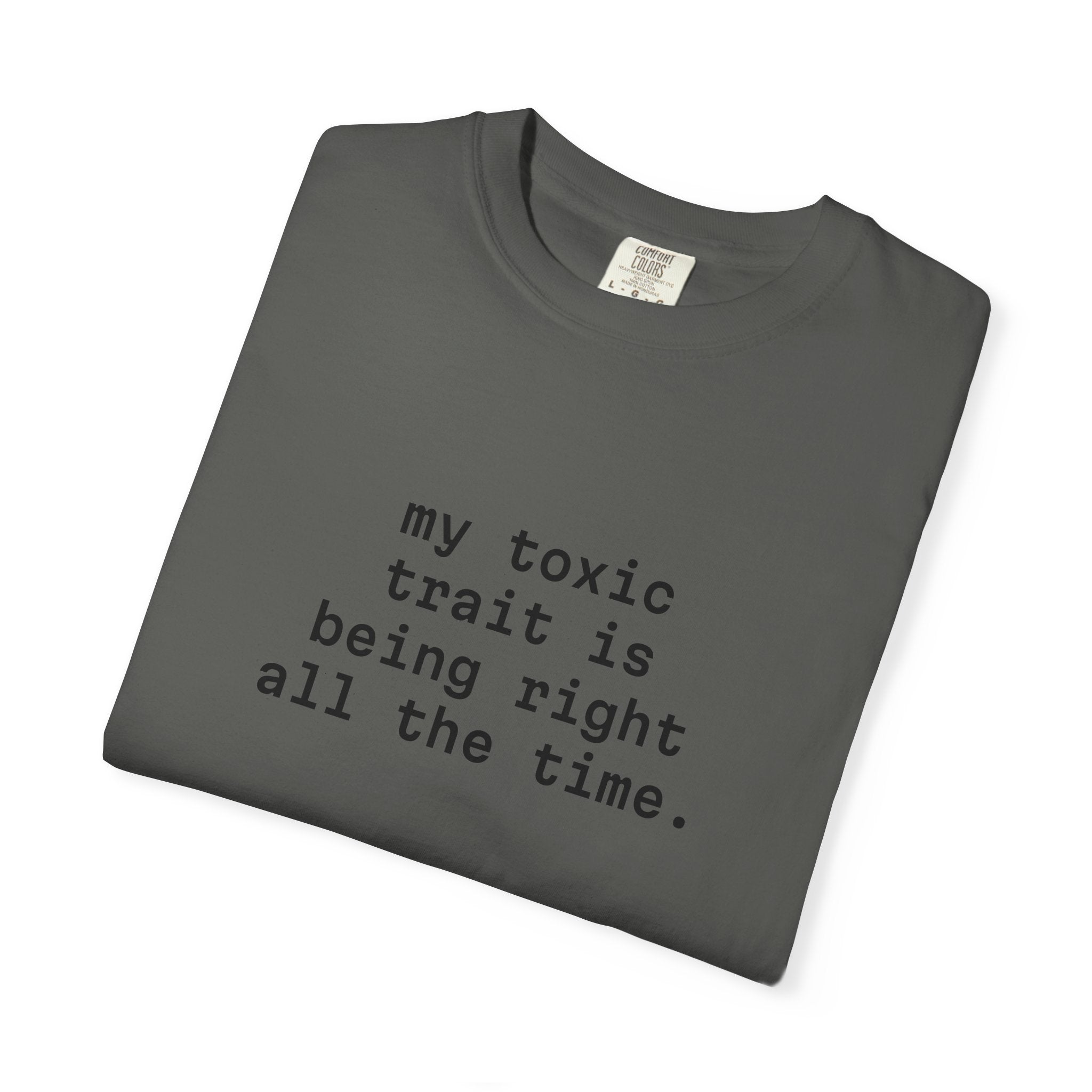 My Toxic Trait Is Being Right All The Time T-Shirt