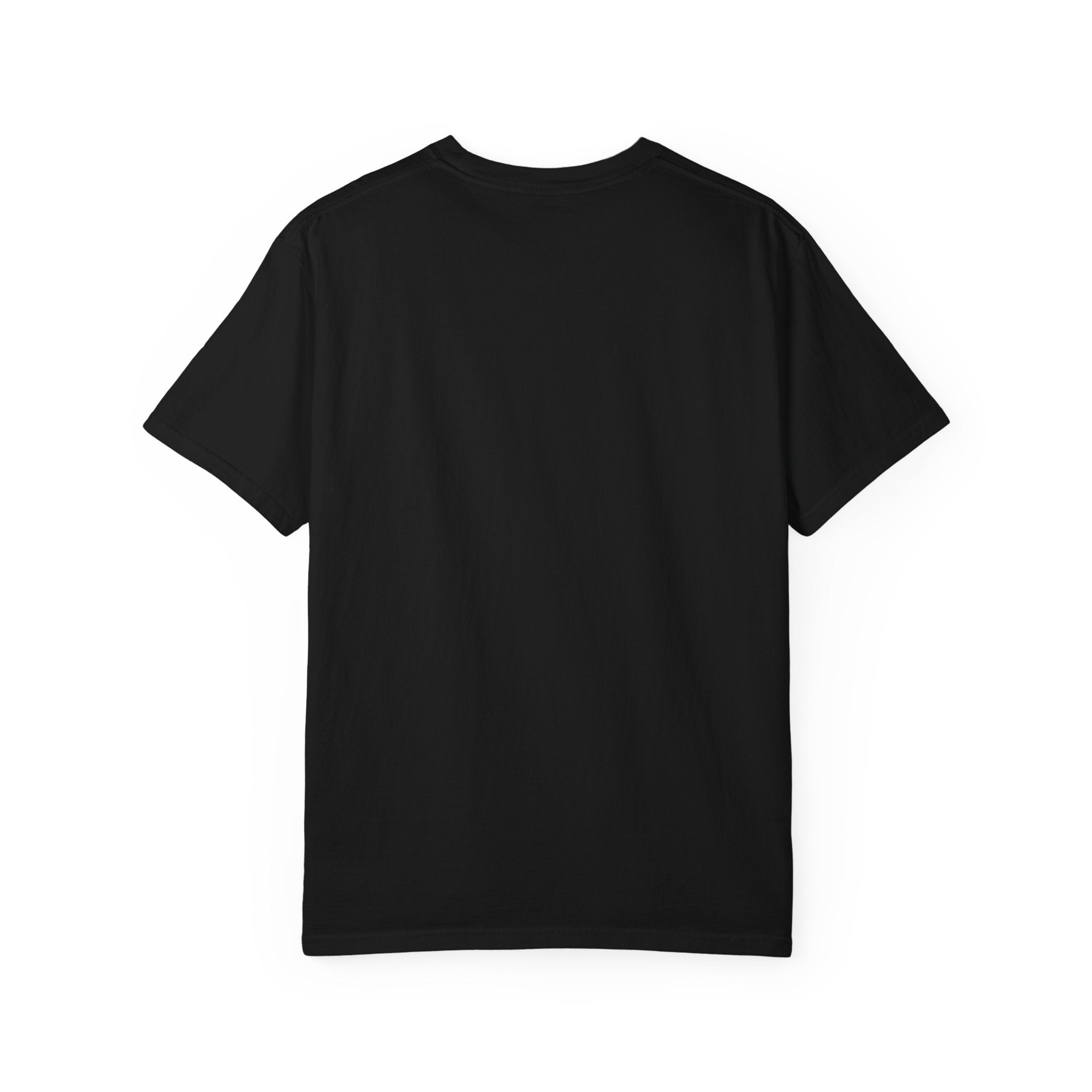 My Toxic Trait Is Being Right All The Time T-Shirt