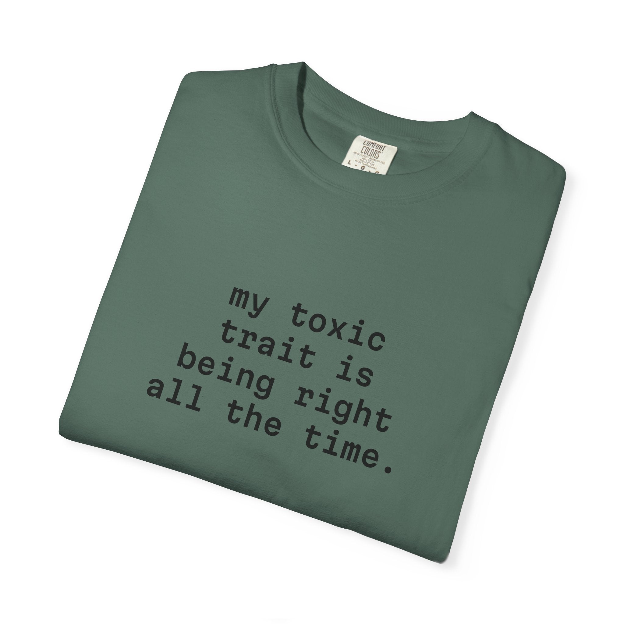 My Toxic Trait Is Being Right All The Time T-Shirt